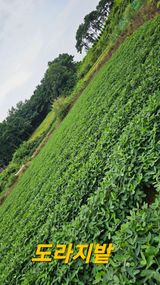 팜모닝 자유주제·사진전 게시글 이미지