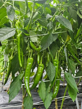 h.정님의 자유주제 · 자유게시판 작성글 사진