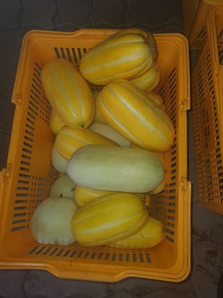 안비님의 자유주제 · 자유게시판 작성글 사진