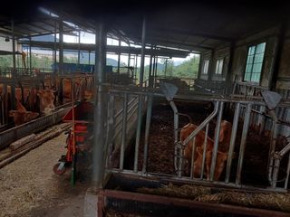 알 수 없음님의 자유주제 · 자유게시판 작성글 사진