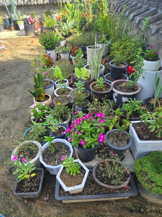 자연인님의 자유주제 · 자유게시판 작성글 사진