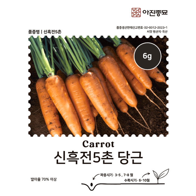 주주씨앗님의 장터 판매 상품 [무료배송 ) 김장채소 2종 씨앗 세트 / 신흑전5촌 + 청두골드 / 당근 씨앗, 김장무 씨앗] 첨부 사진