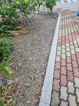 김용대님의 자유주제 · 자유게시판 작성글 사진