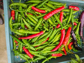 h.정님의 자유주제 · 자유게시판 작성글 사진