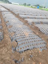 팜모닝 자유주제·자유게시판 게시글 이미지