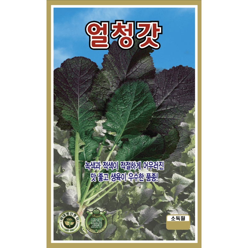주주씨앗님의 장터 판매 상품 [갓 씨앗 4종 세트 / 청갓, 적갓, 얼청갓, 돌산갓 / 김장 채소 씨앗] 첨부 사진