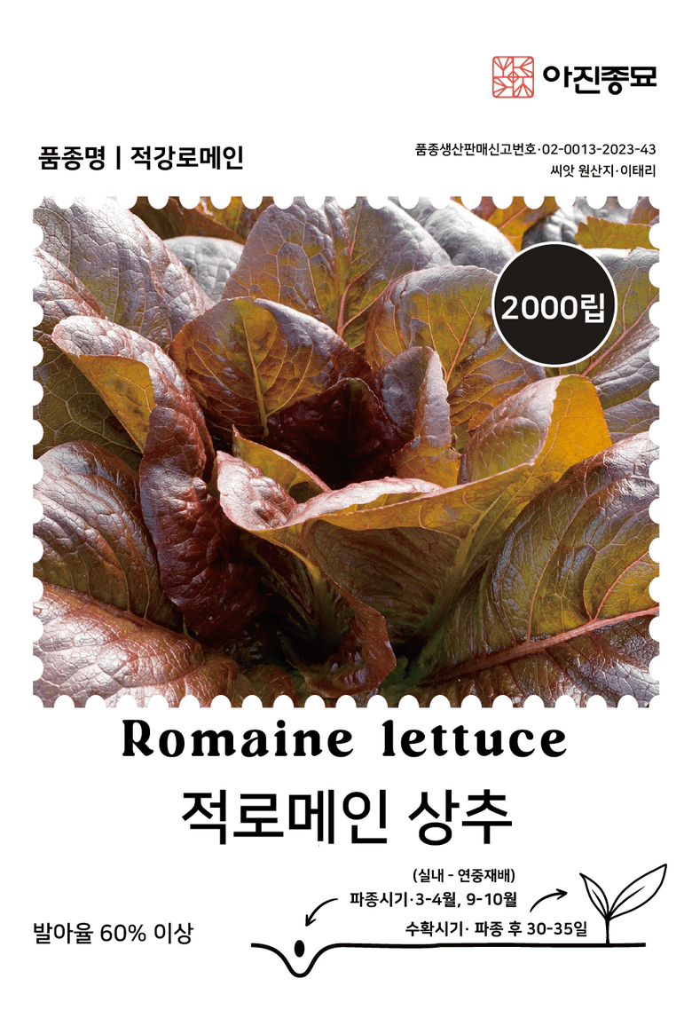 주주씨앗님의 장터 판매 상품 [사계절 상추 씨앗 4종 세트 / 봄, 가을 파종 / 아삭이, 적로메인, 적치마, 담배상추] 첨부 사진