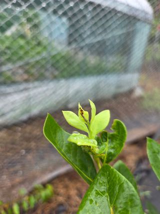 소평님의 자유주제 · 자유게시판 작성글 사진