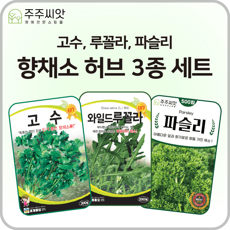 장터 상품 [향채소 씨앗 3종 세트 / 허브 루꼴라, 고수, 파슬리 / 허브 씨앗] 썸네일
