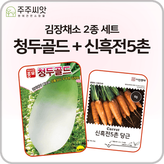 주주씨앗님의 작성글 사진