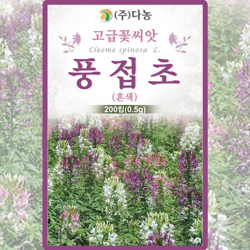 장터 상품 [혼색 풍접초 씨앗 200립  족두리꽃 꽃씨 종자 5개+랜덤씨앗1개 증정] 썸네일