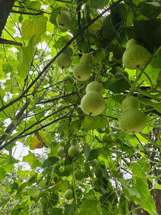 h.정님의 자유주제 · 자유게시판 작성글 사진