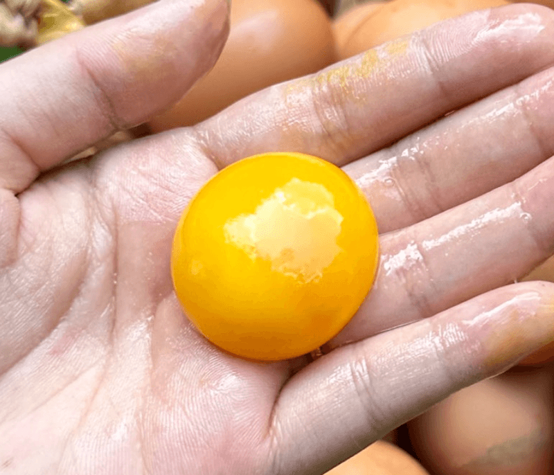 장터 상품 [달걀 20구 (유정란 난각번호1번)] 썸네일