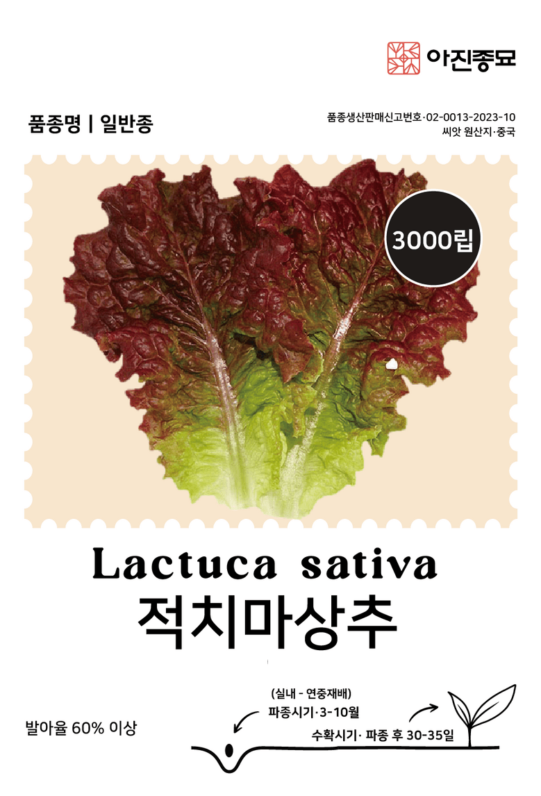 주주씨앗님의 장터 판매 상품 [사계절 상추 씨앗 4종 세트 / 봄, 가을 파종 / 아삭이, 적로메인, 적치마, 담배상추] 첨부 사진