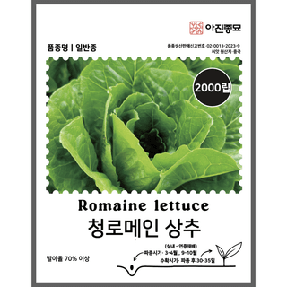 주주씨앗님의 작성글 사진