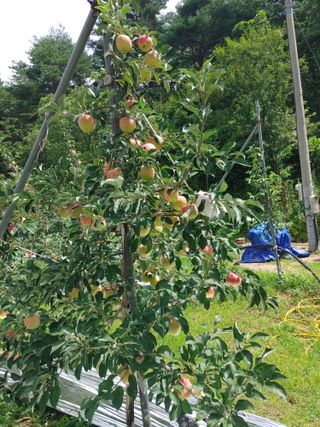 숲속의사나이님의 자유주제 · 자유게시판 작성글 사진