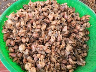 한경훈님의 자유주제 · 자유게시판 작성글 사진