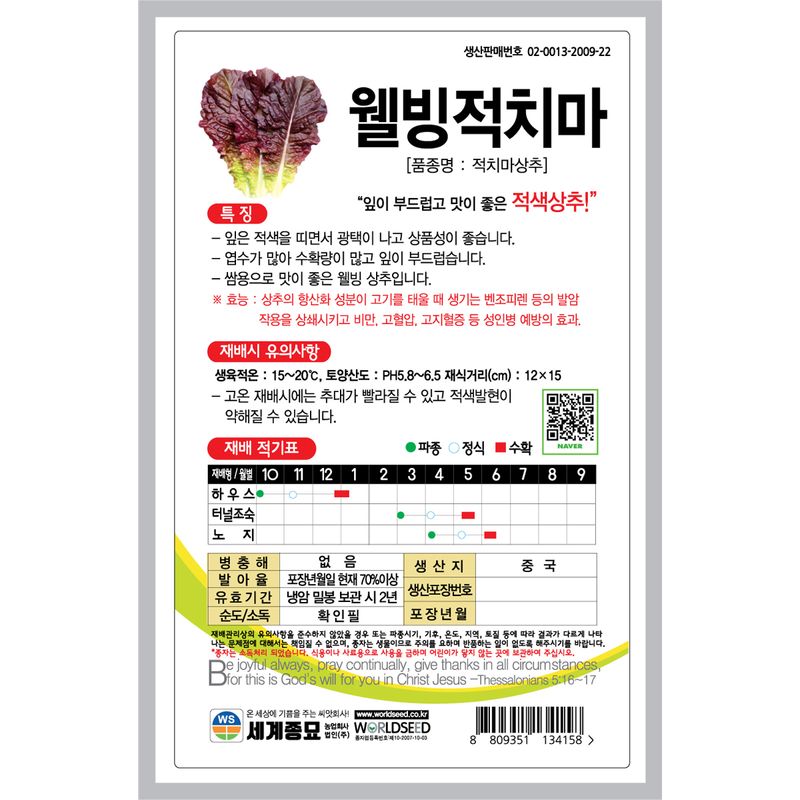 주주씨앗님의 장터 판매 상품 [웰빙상추 씨앗 3종 세트 / 세계종묘 청치마, 적치마, 꽃상추 / 상추 씨앗] 첨부 사진