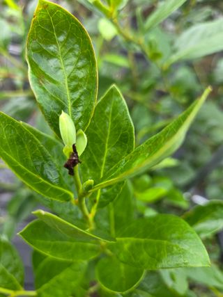 소평님의 자유주제 · 자유게시판 작성글 사진