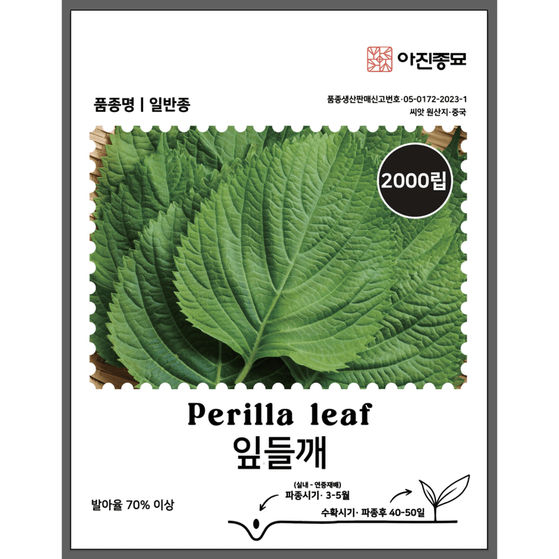 주주씨앗님의 장터 판매 상품 [베란다 채소 씨앗 4종 세트 / 가정 원예용 / 상추, 잎들깨, 청경채, 부추 씨앗] 첨부 사진