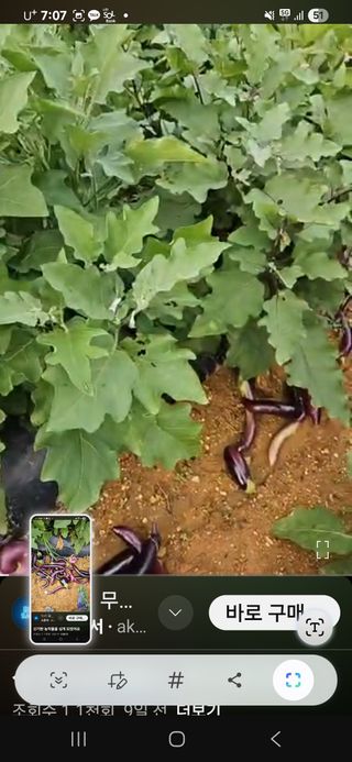 김황기님의 자유주제 · 자유게시판 작성글 사진