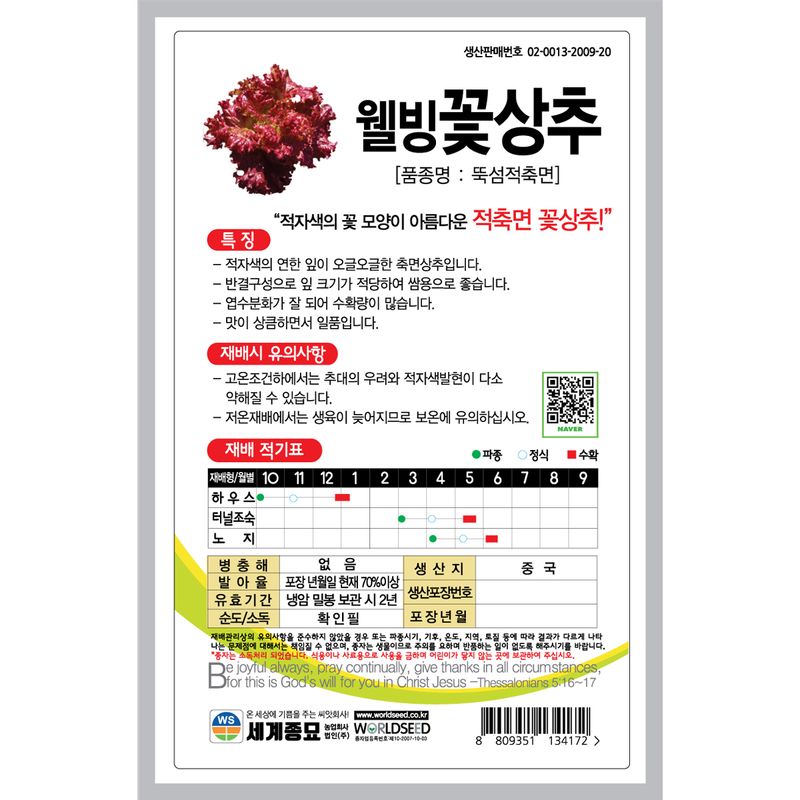 주주씨앗님의 장터 판매 상품 [웰빙상추 씨앗 3종 세트 / 세계종묘 청치마, 적치마, 꽃상추 / 상추 씨앗] 첨부 사진
