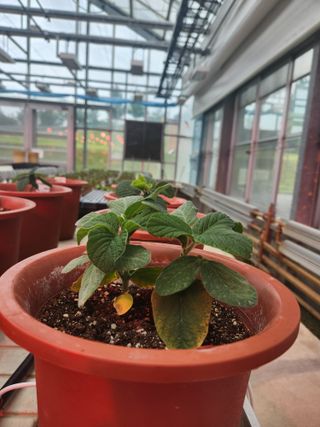 김상철님의 자유주제 · 자유게시판 작성글 사진