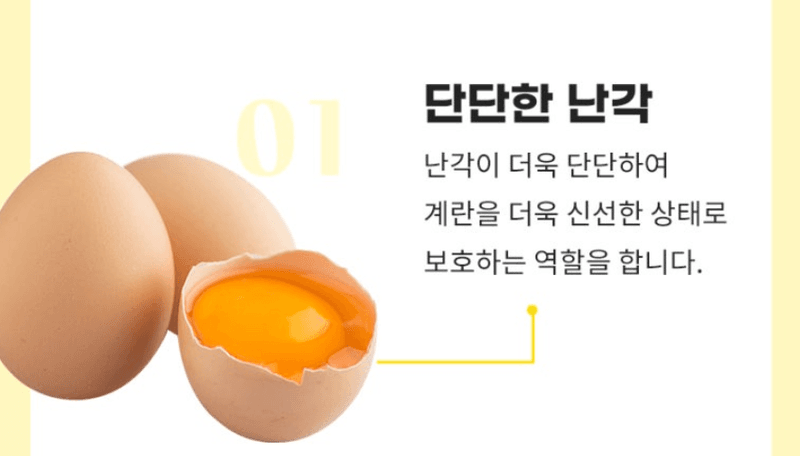 스피드번님의 장터 판매 상품 [달걀 20구 (유정란 난각번호1번)] 첨부 사진