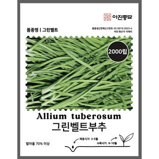 주주씨앗님의 작성글 사진