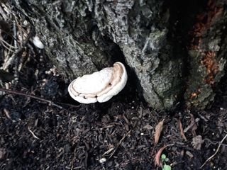 나수미님의 자유주제 · 자유게시판 작성글 사진