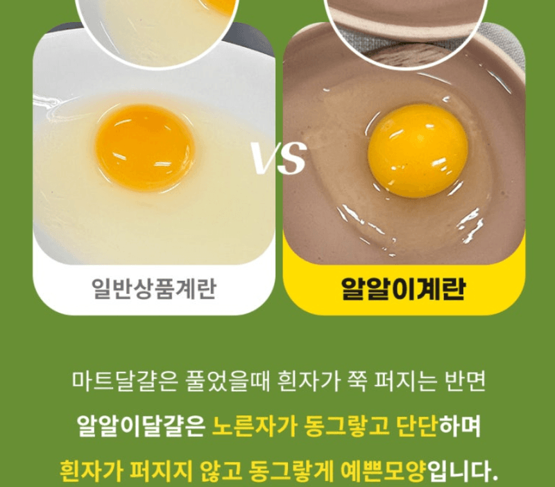 스피드번님의 장터 판매 상품 [달걀 20구 (유정란 난각번호1번)] 첨부 사진