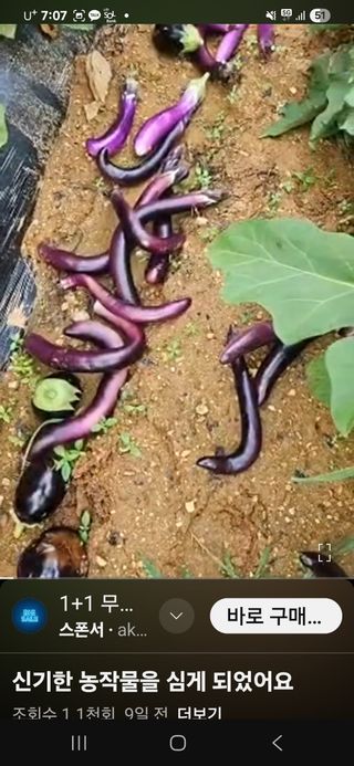 김황기님의 자유주제 · 자유게시판 작성글 사진