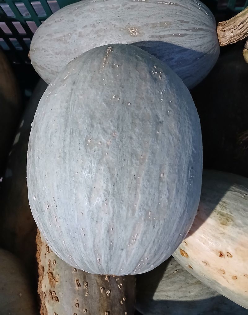 장터 상품 [단호박 1kg] 썸네일