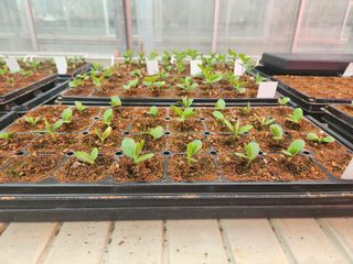 김상철님의 자유주제 · 자유게시판 작성글 사진