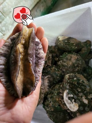 고추농사 정 미라님의 자유주제 · 자유게시판 작성글 사진