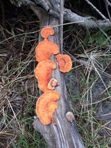 팜모닝 자유주제·자유게시판 게시글 이미지