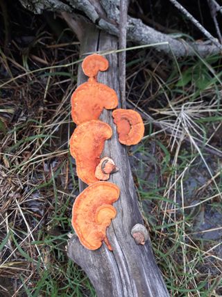 나수미님의 자유주제 · 자유게시판 작성글 사진