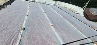 고추농사 정 미라님의 자유주제 · 자유게시판 작성글 사진