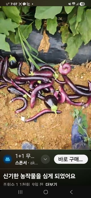 김황기님의 자유주제 · 자유게시판 작성글 사진