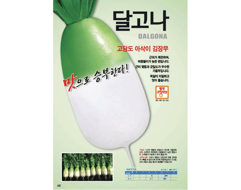 주주씨앗님의 장터 판매 상품 [달고나무 + 돌산갓 씨앗 세트 / 김장채소 씨앗] 첨부 사진