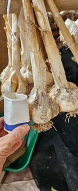 팜모닝 자유주제·자유게시판 게시글 이미지