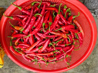 h.정님의 자유주제 · 자유게시판 작성글 사진