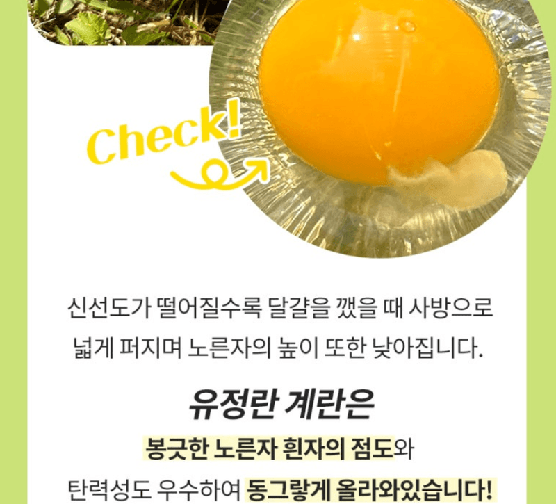 스피드번님의 장터 판매 상품 [달걀 20구 (유정란 난각번호1번)] 첨부 사진
