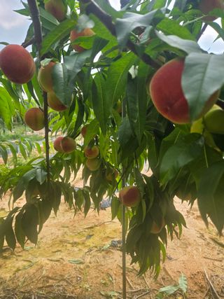 자연인님의 자유주제 · 자유게시판 작성글 사진