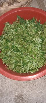 팜모닝 · 게시글 이미지