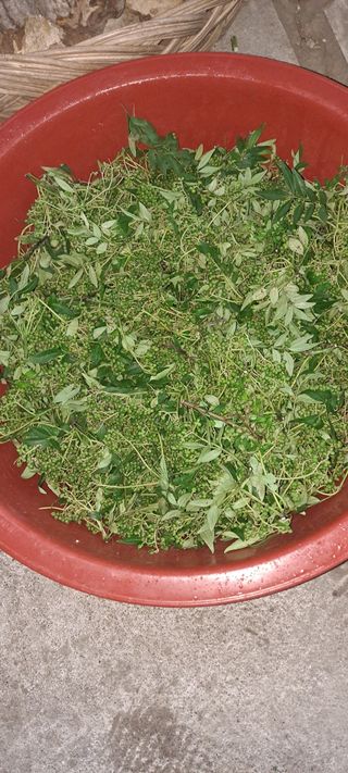 백순분님의 작성글 사진