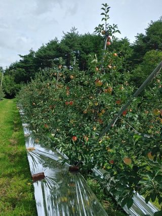 숲속의사나이님의 자유주제 · 자유게시판 작성글 사진