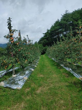 숲속의사나이님의 자유주제 · 자유게시판 작성글 사진