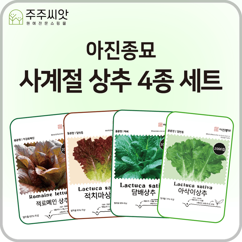 장터 상품 [사계절 상추 씨앗 4종 세트 / 봄, 가을 파종 / 아삭이, 적로메인, 적치마, 담배상추] 썸네일