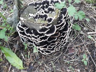 나수미님의 자유주제 · 자유게시판 작성글 사진